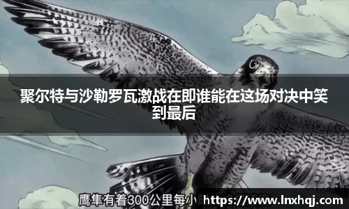 聚尔特与沙勒罗瓦激战在即谁能在这场对决中笑到最后